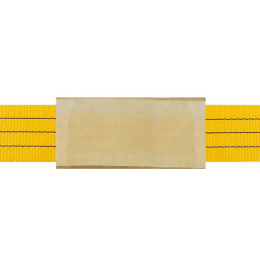 G2 C100